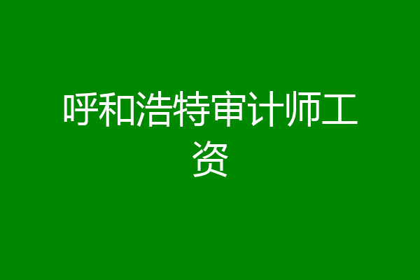 呼和浩特审计师工资
