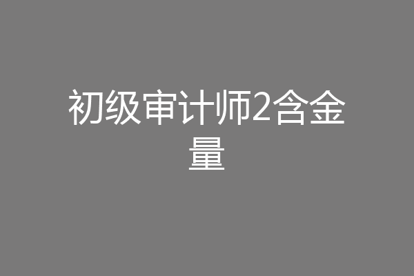 初级审计师2含金量