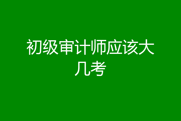 初级审计师应该大几考