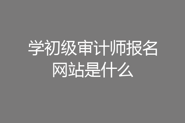 学初级审计师报名网站是什么