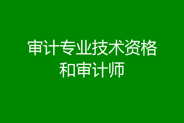 审计专业技术资格和审计师
