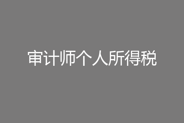 审计师个人所得税