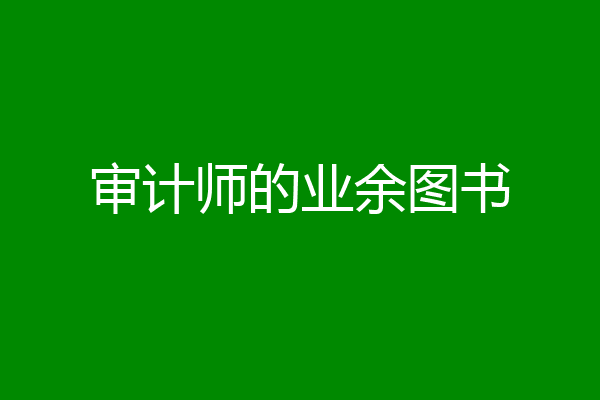 审计师的业余图书