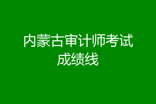 内蒙古审计师考试成绩线