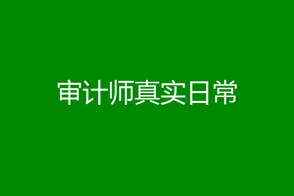 审计师真实日常