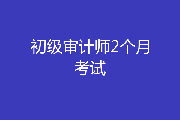 初级审计师2个月考试