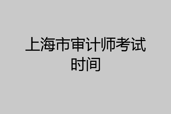 上海市审计师考试时间