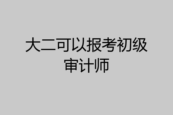 大二可以报考初级审计师