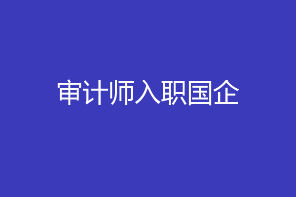 审计师入职国企