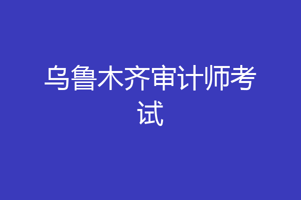 乌鲁木齐审计师考试