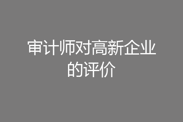 审计师对高新企业的评价