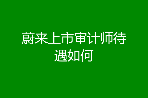 蔚来上市审计师待遇如何