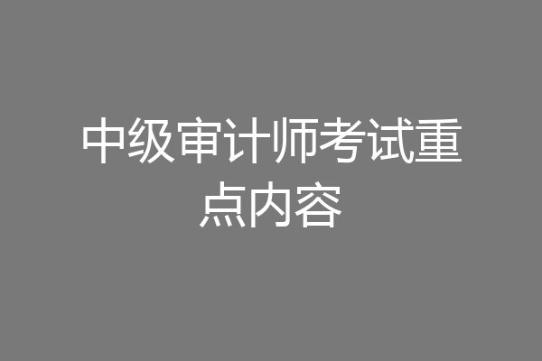 中级审计师考试重点内容
