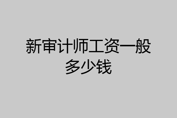 新审计师工资一般多少钱