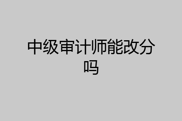 中级审计师能改分吗