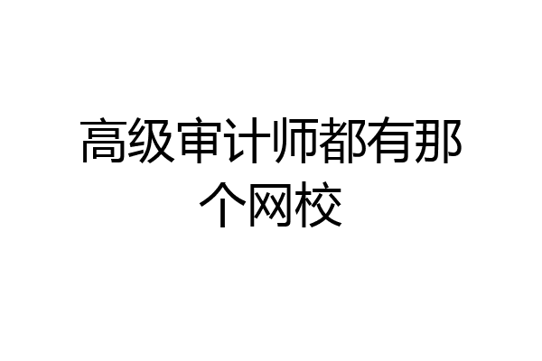 高级审计师都有那个网校