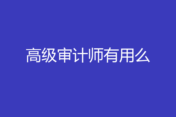 高级审计师有用么