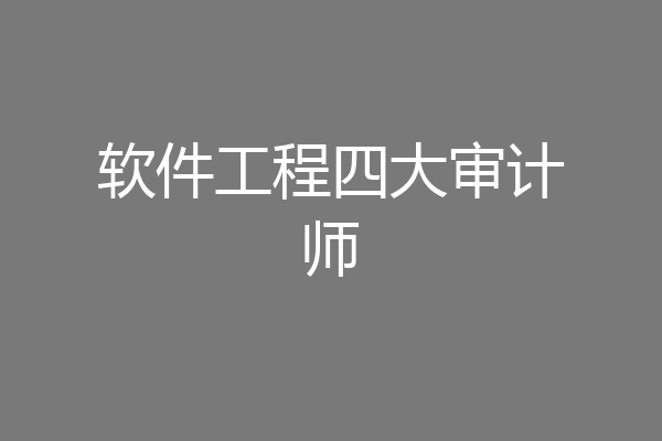 软件工程四大审计师