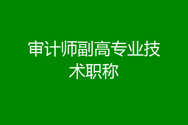 审计师副高专业技术职称
