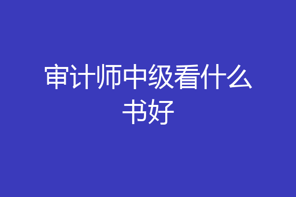 审计师中级看什么书好