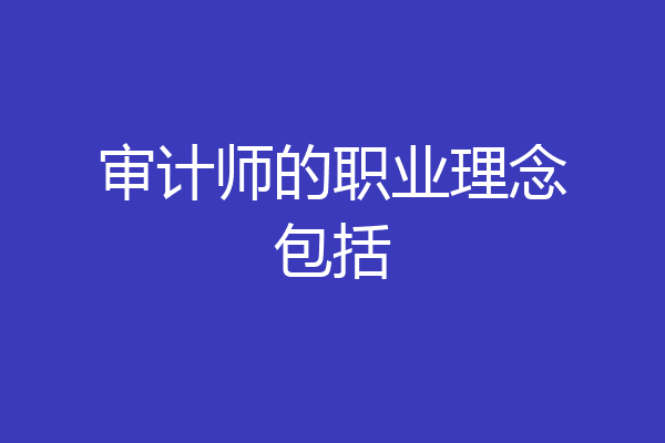 审计师的职业理念包括