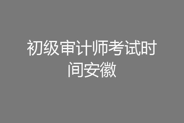 初级审计师考试时间安徽