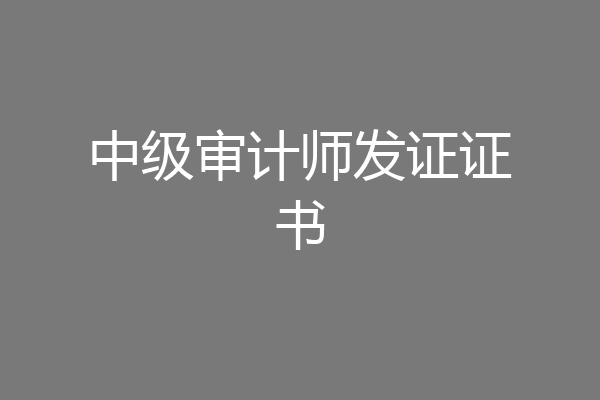 中级审计师发证证书