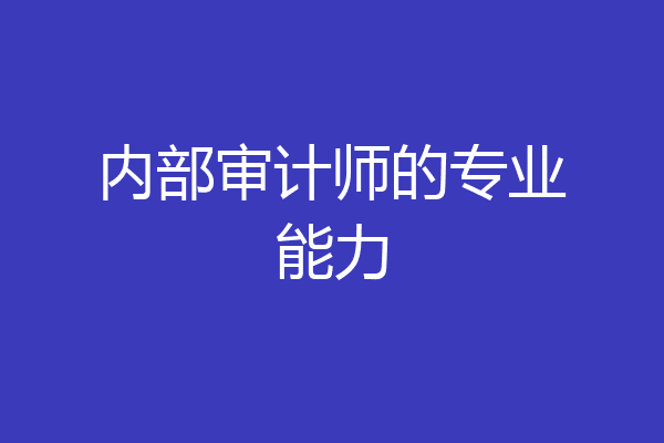内部审计师的专业能力