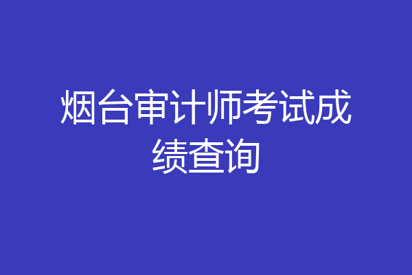烟台审计师考试成绩查询