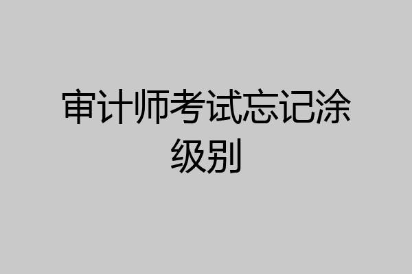 审计师考试忘记涂级别