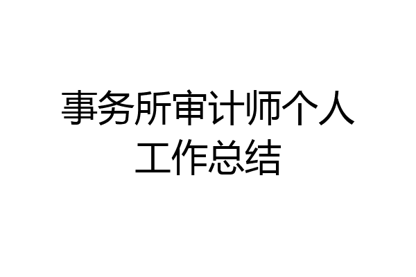 事务所审计师个人工作总结
