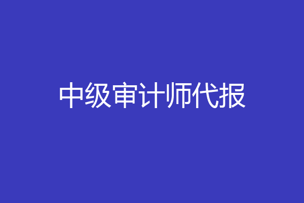 中级审计师代报