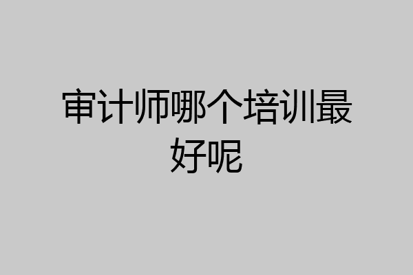 审计师哪个培训最好呢