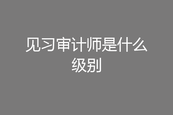 见习审计师是什么级别