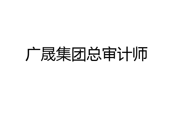 广晟集团总审计师