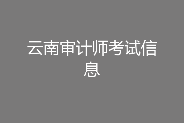 云南审计师考试信息