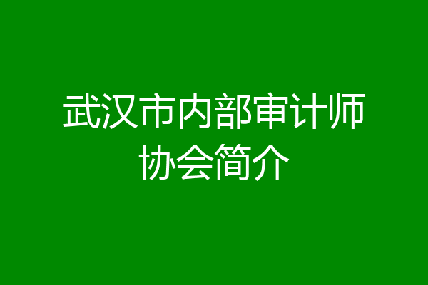 武汉市内部审计师协会简介