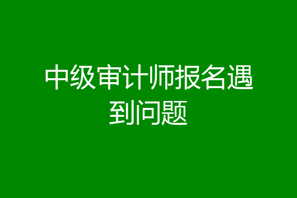 中级审计师报名遇到问题