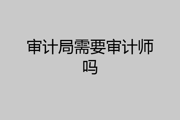 审计局需要审计师吗