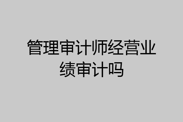 管理审计师经营业绩审计吗