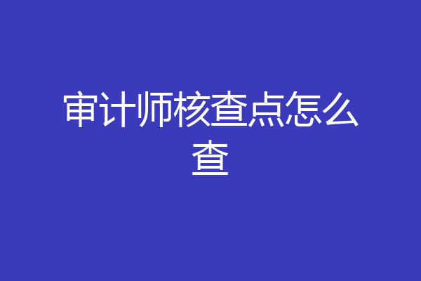 审计师核查点怎么查