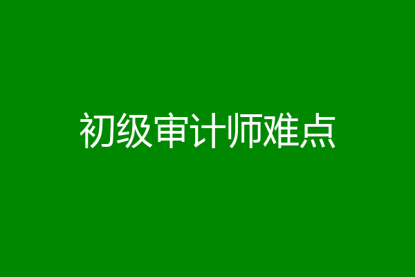 初级审计师难点