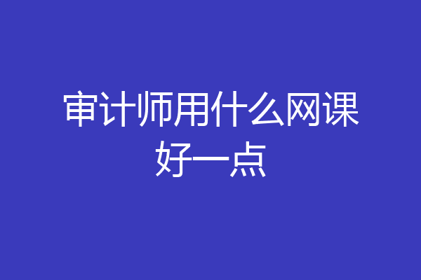 审计师用什么网课好一点