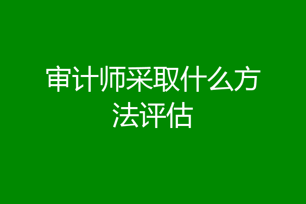 审计师采取什么方法评估