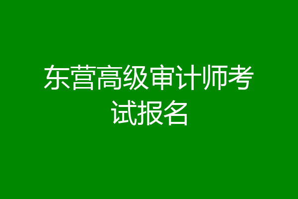 东营高级审计师考试报名