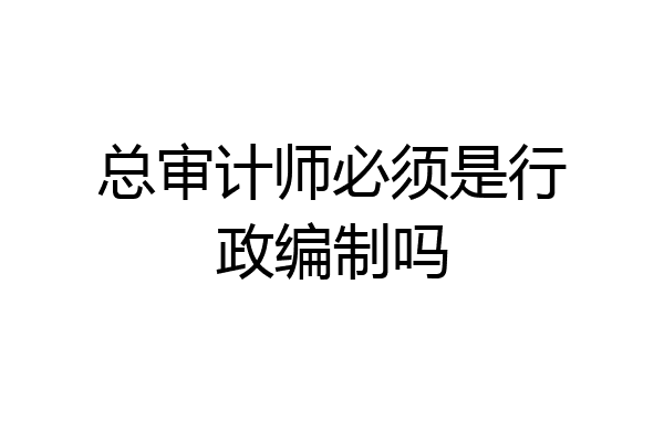 总审计师必须是行政编制吗
