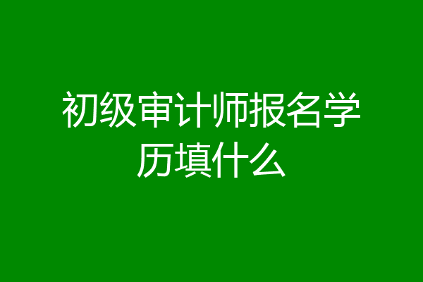 初级审计师报名学历填什么