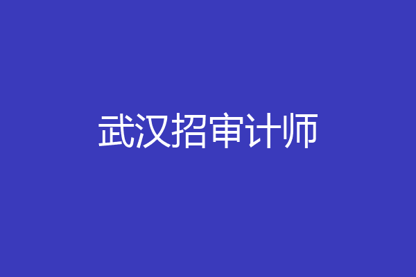 武汉招审计师