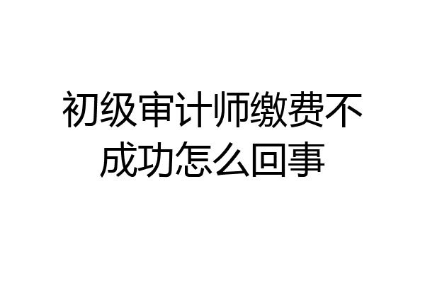 初级审计师缴费不成功怎么回事