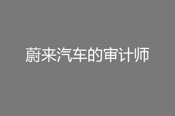 蔚来汽车的审计师